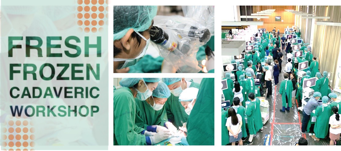 Fresh Frozen cadaveric workshop